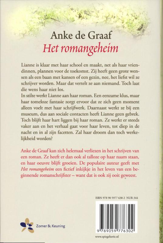 Achterkant van Het romangeheim