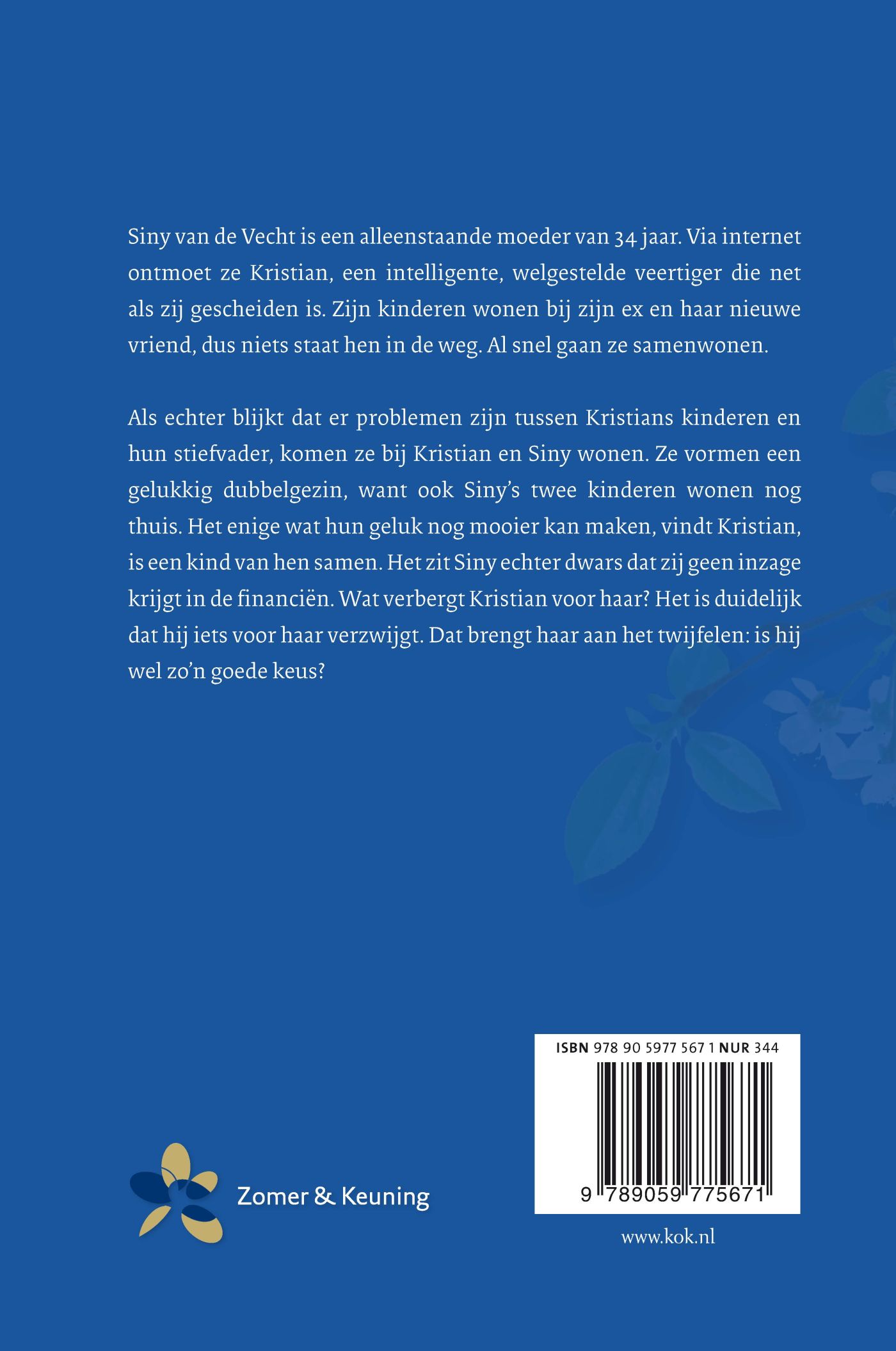 Achterkant van Dubbelgezin