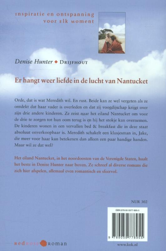 Achterkant van Drijfhout