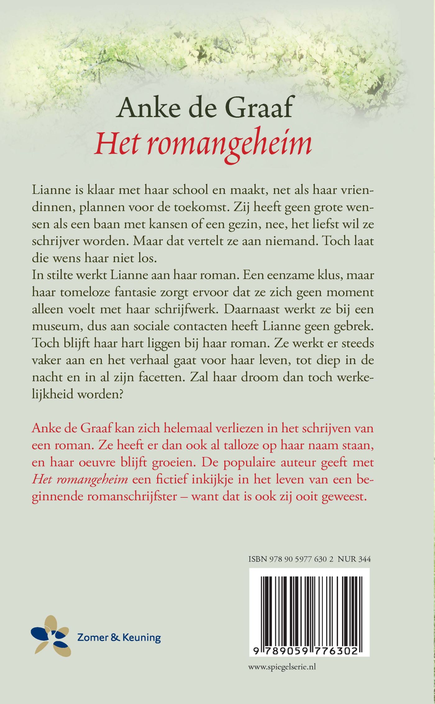 Achterkant van Het romangeheim