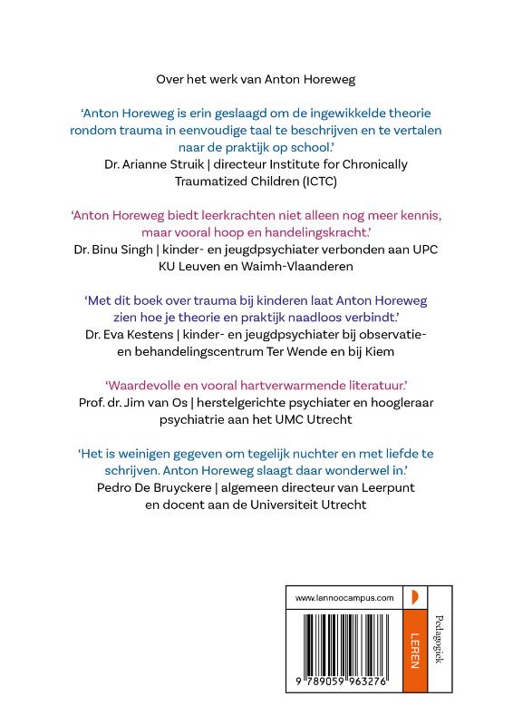 Achterkant van De traumasensitieve school