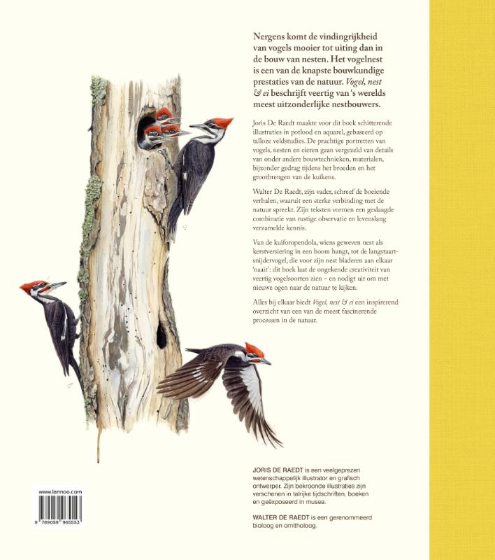 Achterkant van Vogel, nest & ei