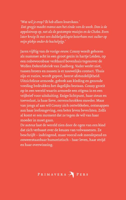 Achterkant van Gratenpakhuis