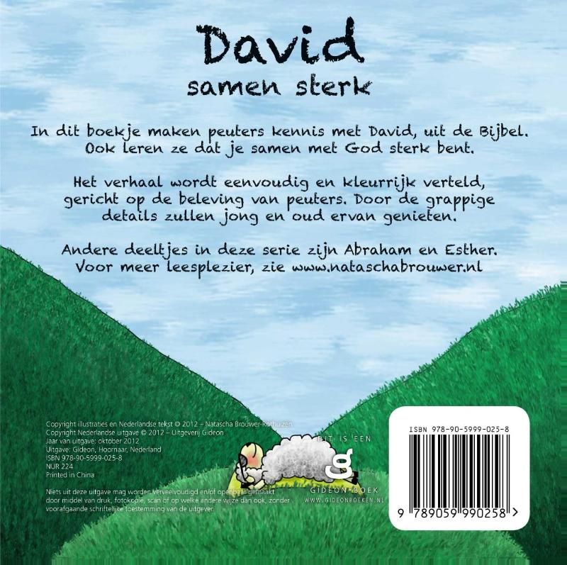 Achterkant van David