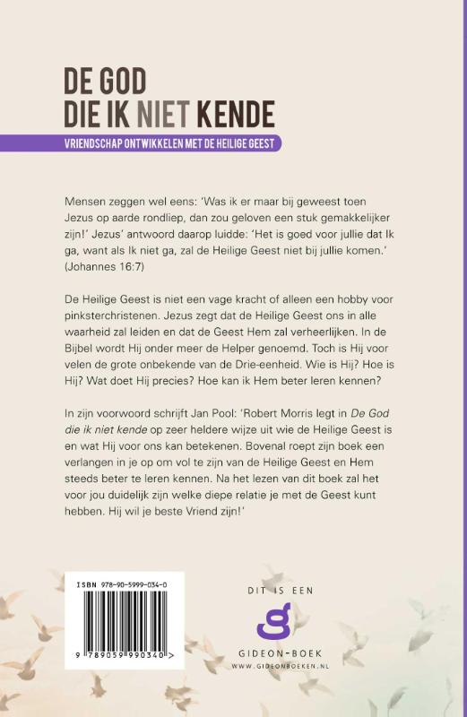 Achterkant van De God die ik niet kende