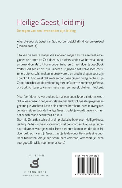 Achterkant van Heilige Geest, leid mij