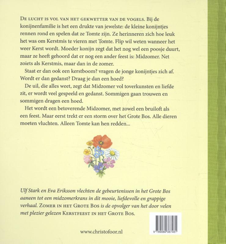 Achterkant van Zomer in het grote bos