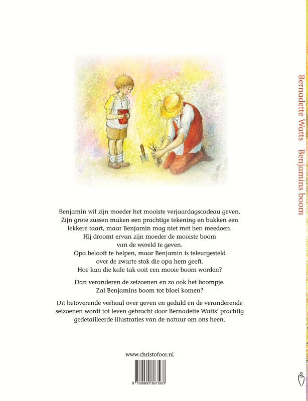 Achterkant van Benjamins boom