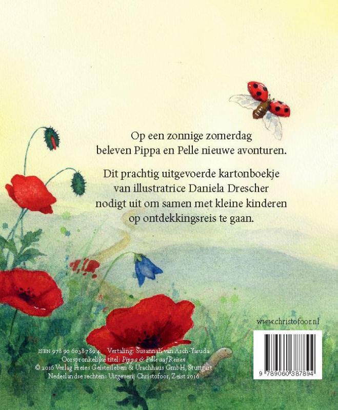Achterkant van Pippa & Pelle in de zomerzon