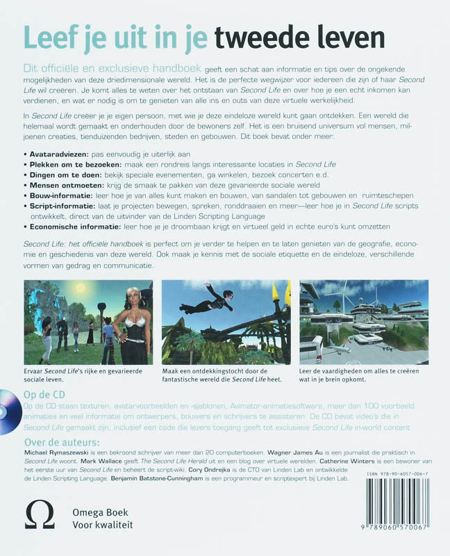 Achterkant van Second Life