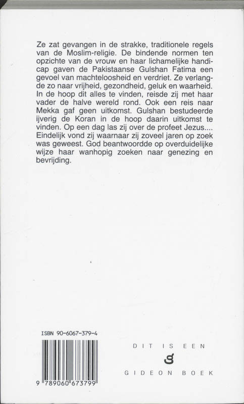Achterkant van De verscheurde sluier