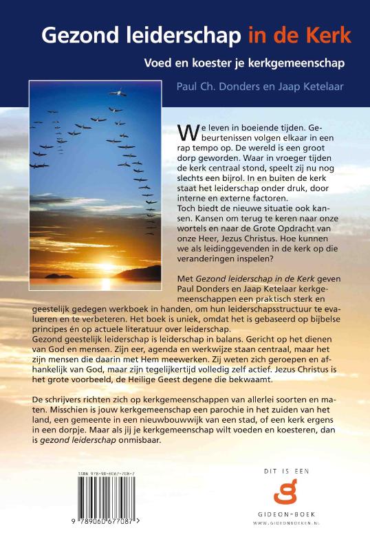 Achterkant van Gezond leiderschap in de kerk