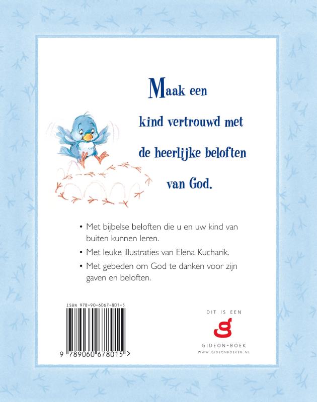 Achterkant van Beloften voor kleine schatjes