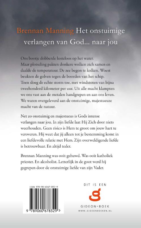 Achterkant van Het onstuimige verlangen van God... naar jou