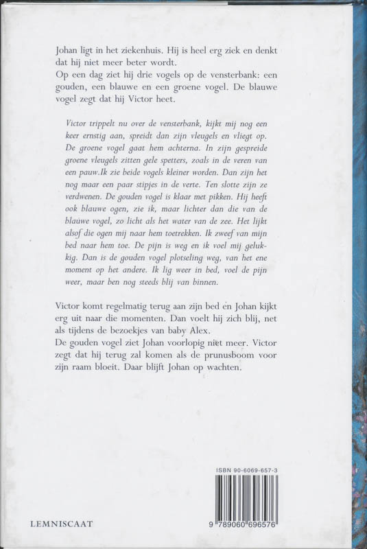 Achterkant van De gouden vogel