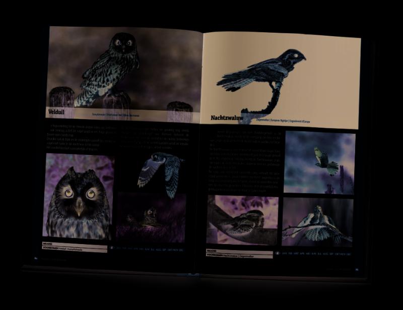 Achterkant van Vogels van de Wadden
