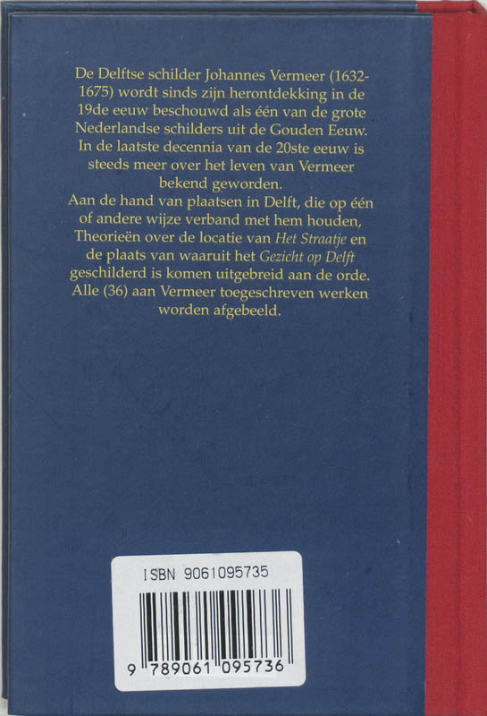 Achterkant van Vermeer in Delft