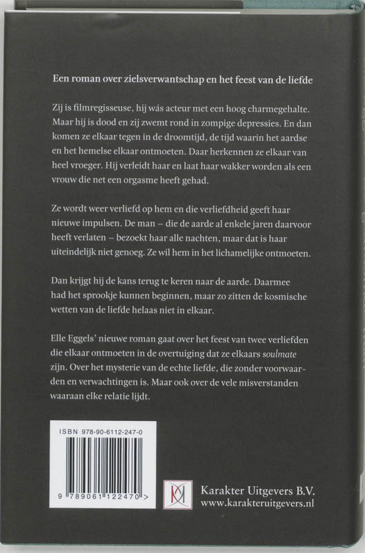 Achterkant van De gedroomde man
