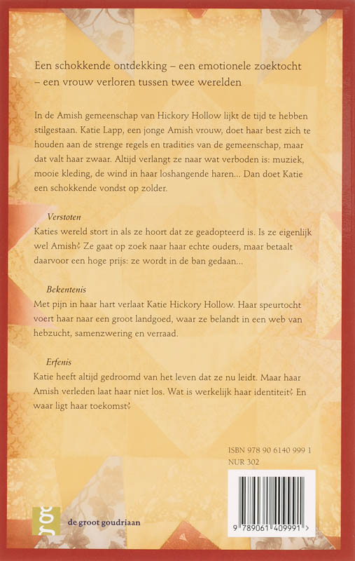 Achterkant van Katie Lapp trilogie