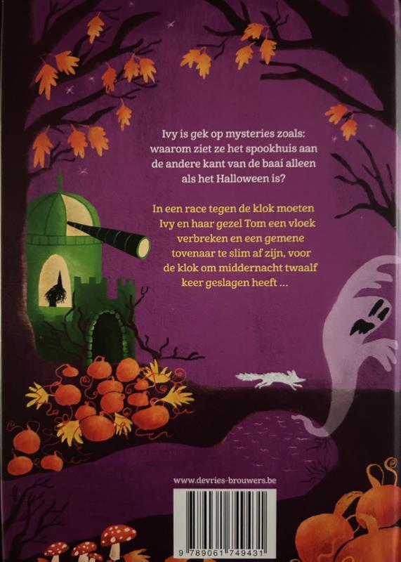 Achterkant van Heksje Ivy en de tijdrover
