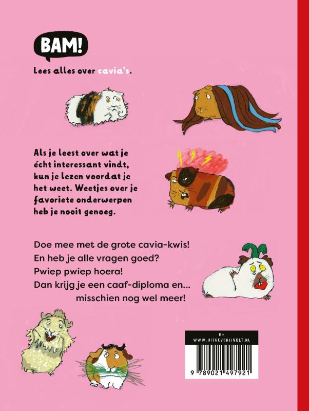 Achterkant van De grote cavia-kwis