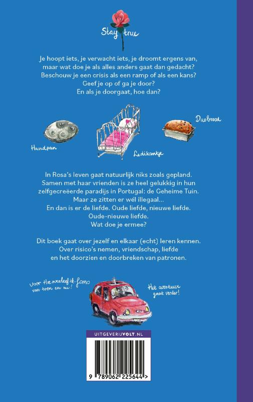 Achterkant van Hoe overleef ik alles wat anders gaat dan gedacht?