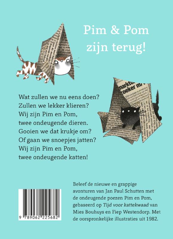 Achterkant van Nieuwe streken van Pim & Pom
