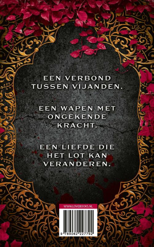 Achterkant van Heir of illusion