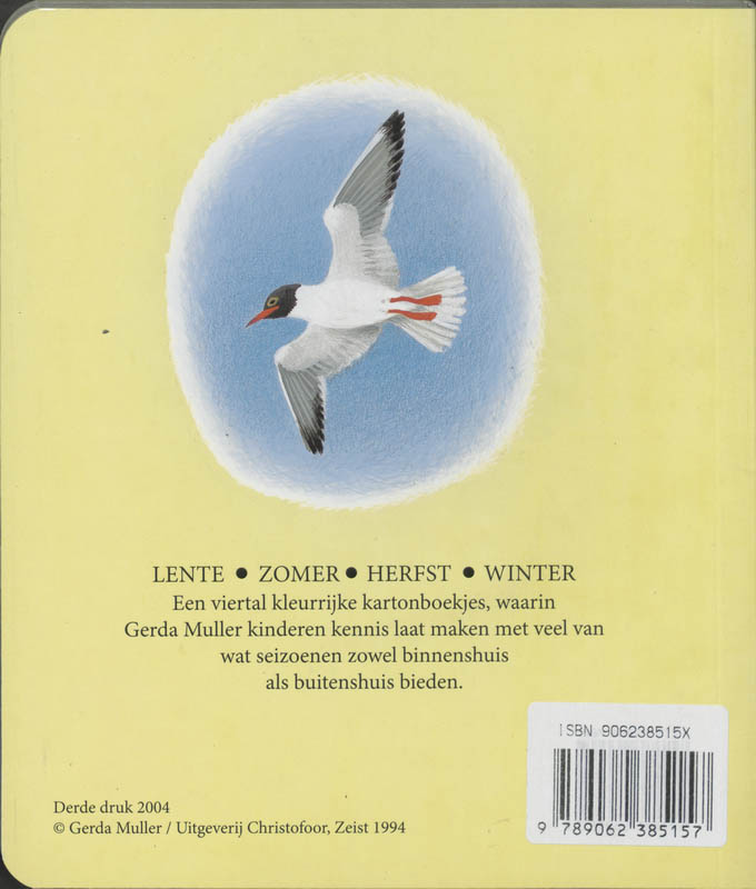 Achterkant van Zomer