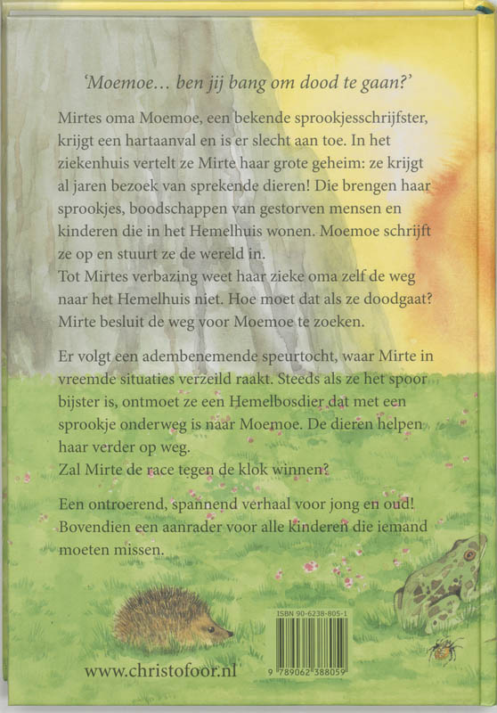 Achterkant van Het pad van de regenboog