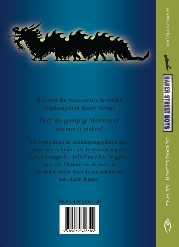 Achterkant van De jacht op de draak