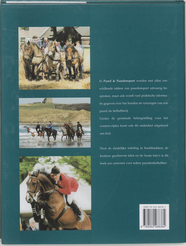 Achterkant van Paard en paardensport