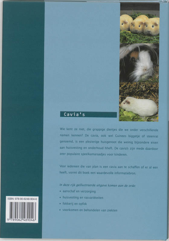 Achterkant van Cavia's