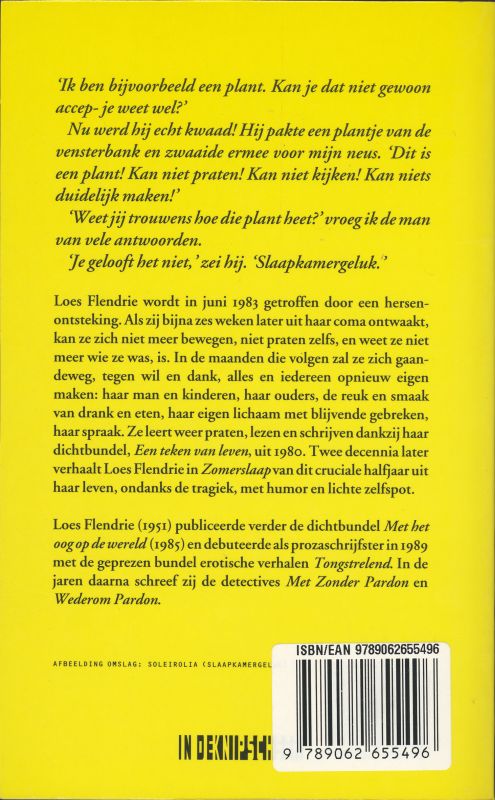 Achterkant van Zomerslaap