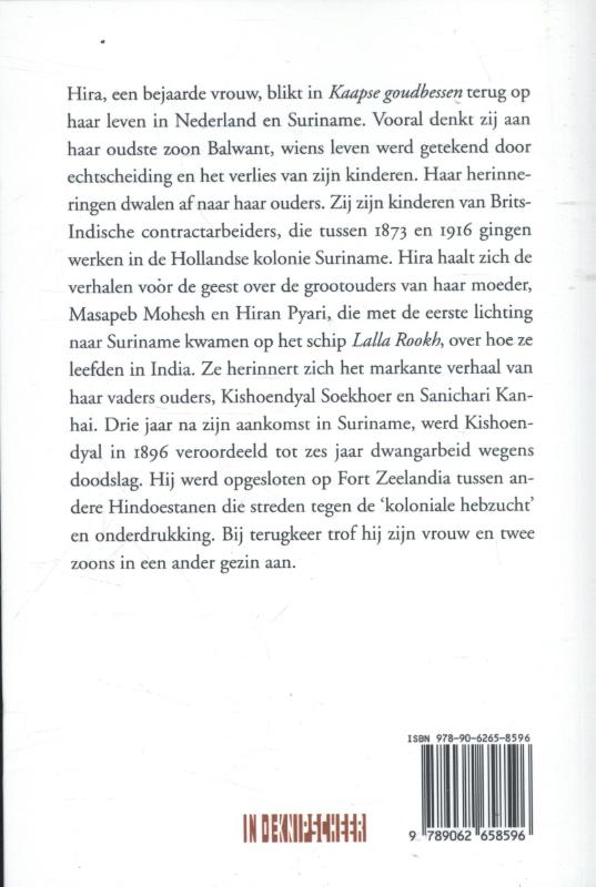 Achterkant van Kaapse goudbessen