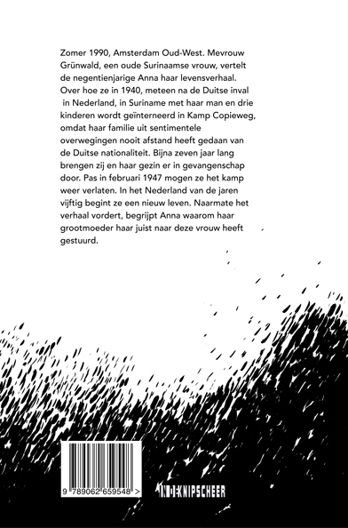 Achterkant van Het geheim van mevrouw Grünwald