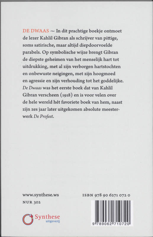 Achterkant van De Dwaas