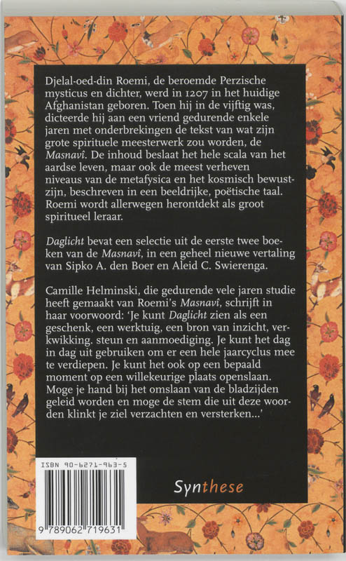 Achterkant van Daglicht