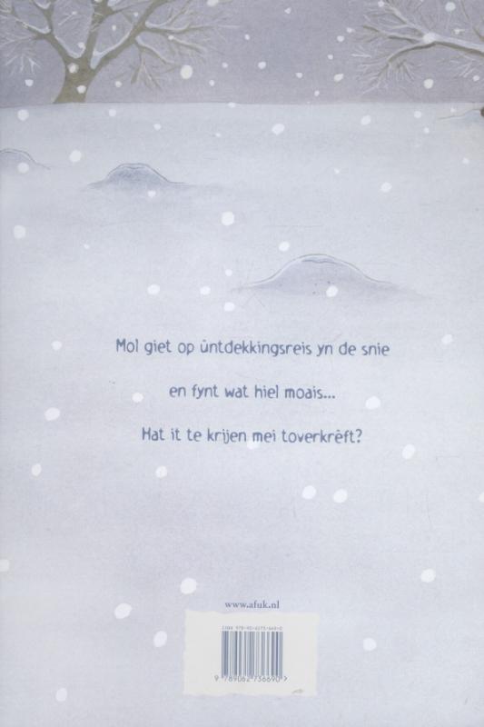 Achterkant van Mol yn 'e snie