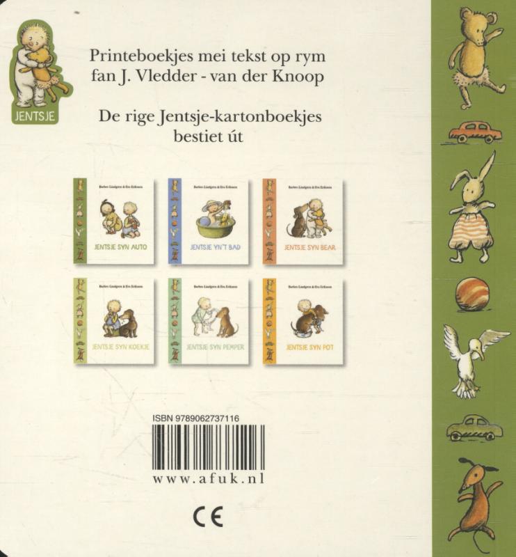 Achterkant van Jentsje syn auto