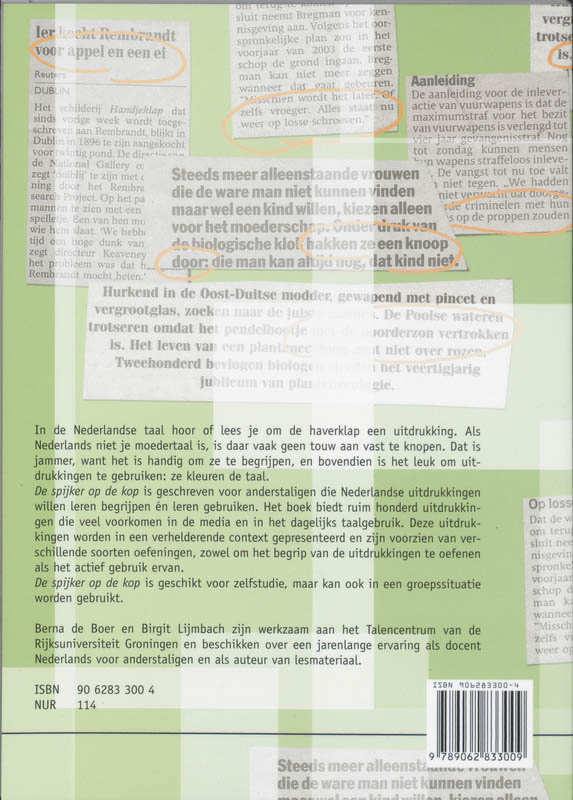Achterkant van De spijker op de kop