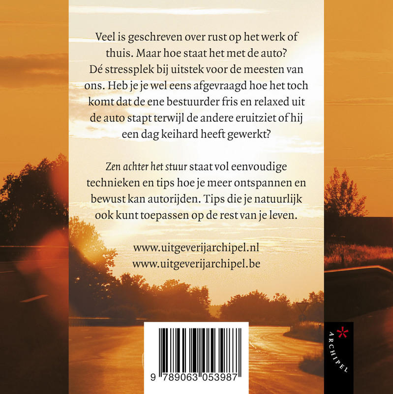 Achterkant van Zen achter het stuur display 10 ex