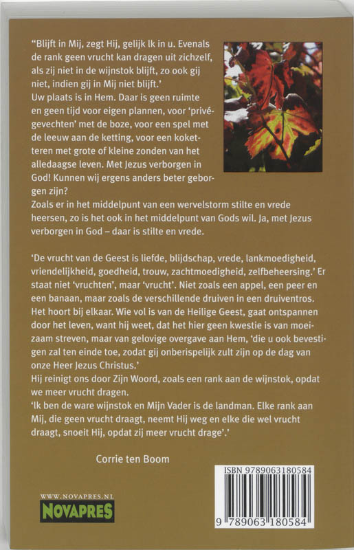 Achterkant van Omnibus