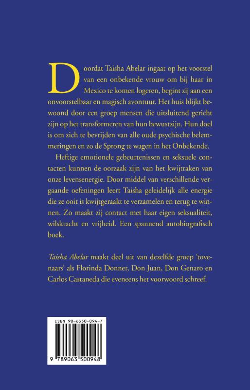 Achterkant van De Sprong in het Onbekende