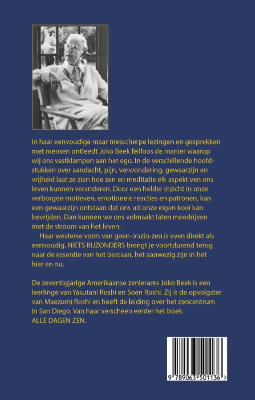 Achterkant van Niets bijzonders