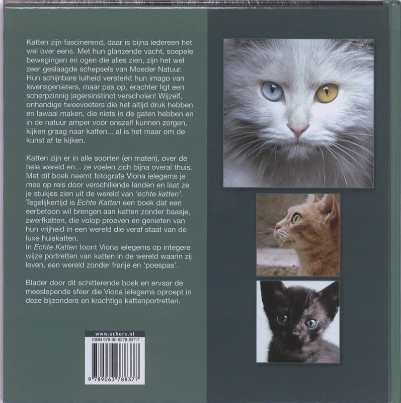 Achterkant van Echte Katten