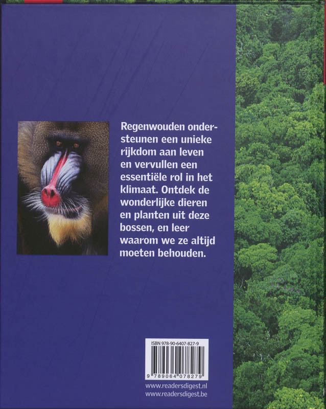 Achterkant van Regenwouden