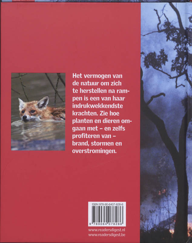 Achterkant van Grote Rampen