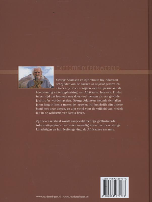 Achterkant van Leeuwen op de Afrikaanse savanne