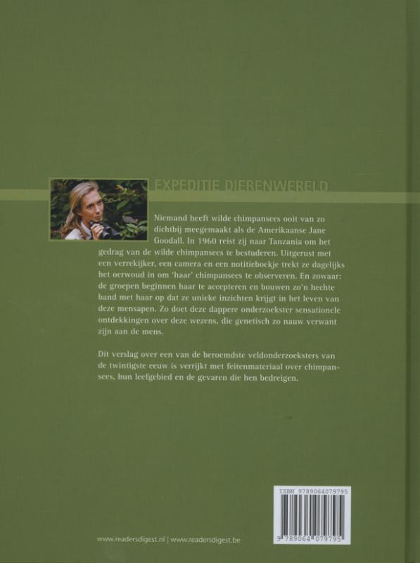 Achterkant van Chimpansees in het hart van Afrika